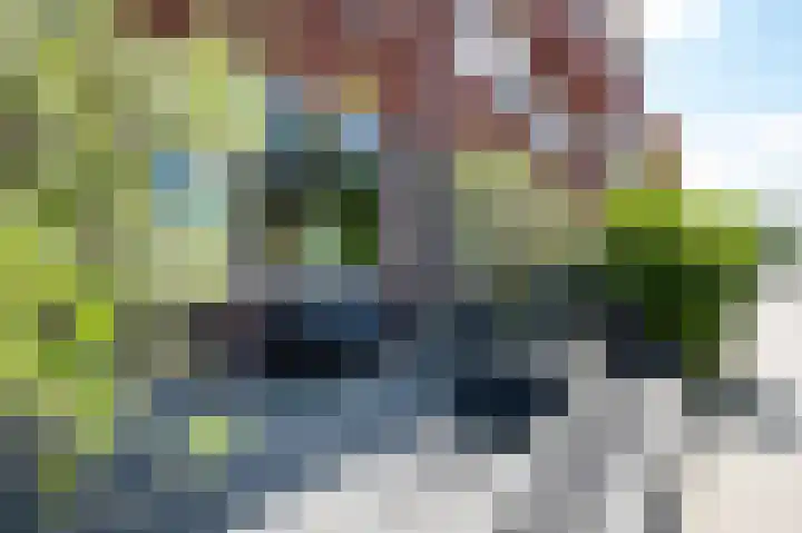 Paterswoldseweg 102 Groningen thumbnail 7