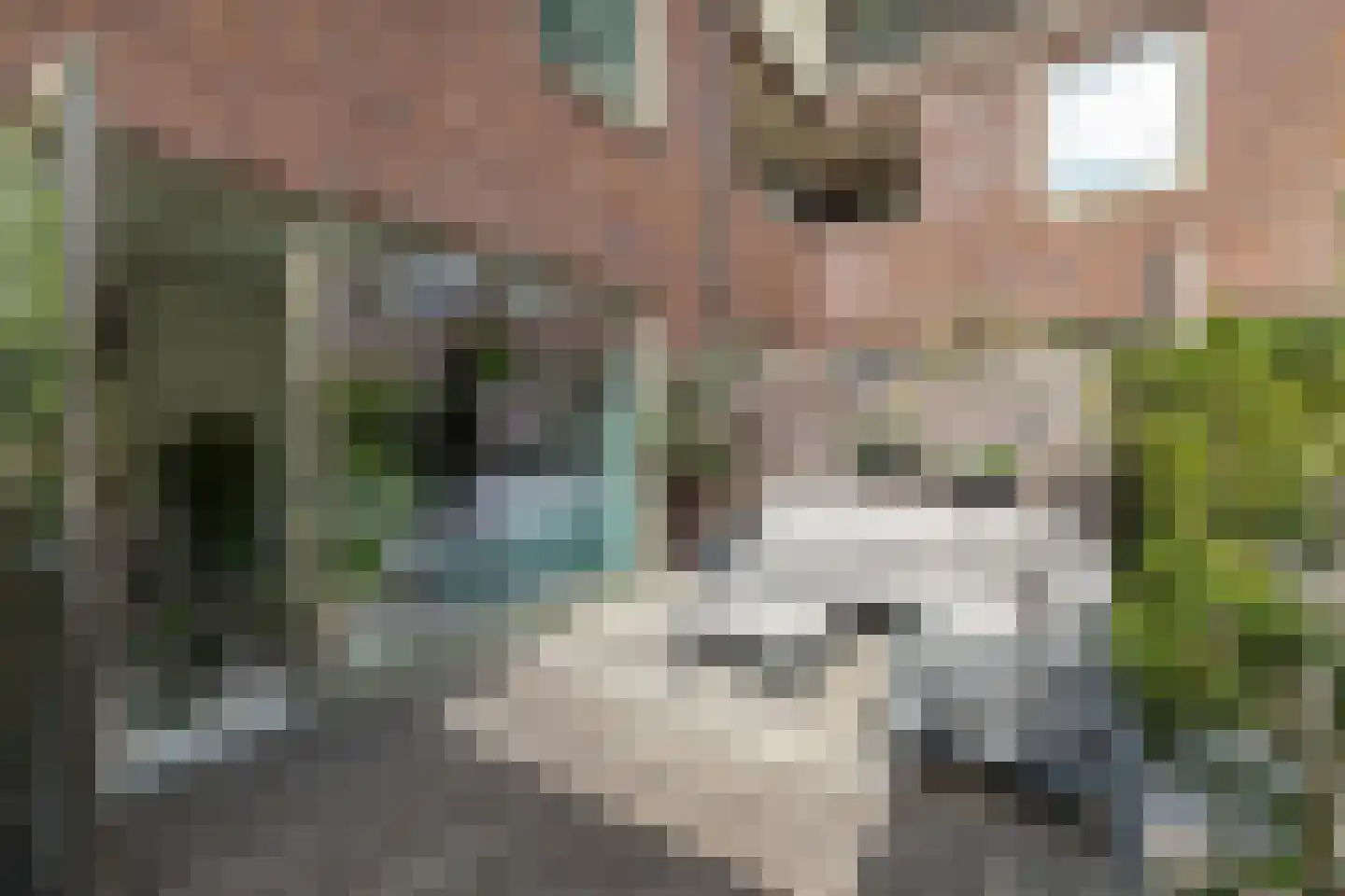 Paterswoldseweg 140 Groningen thumbnail 17