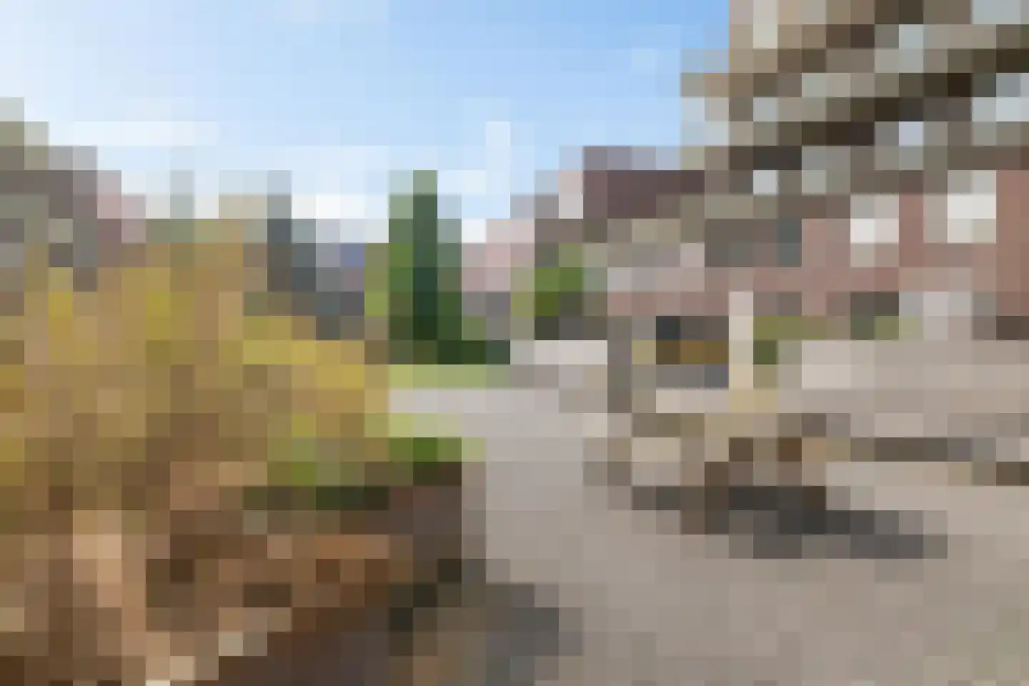 Paterswoldseweg 140 Groningen thumbnail 20