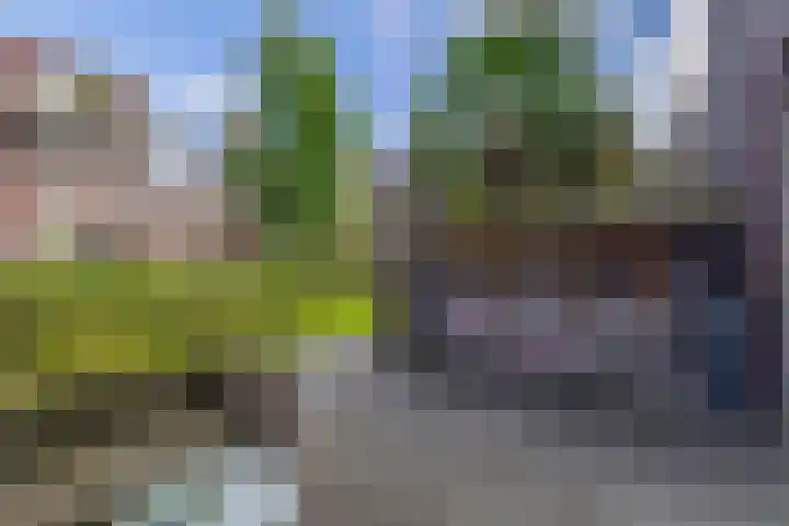 Paterswoldseweg 148 Groningen thumbnail 22