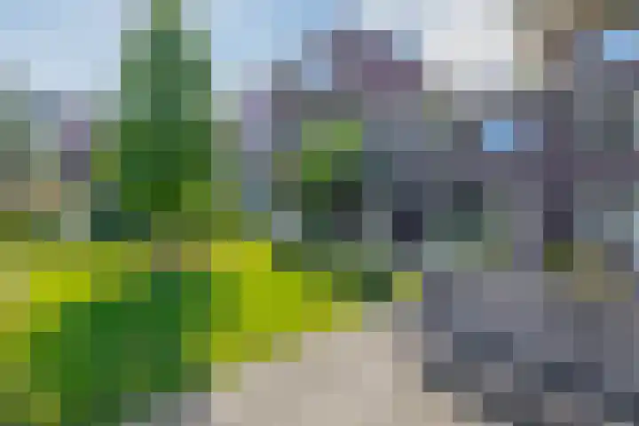 Paterswoldseweg 148 Groningen thumbnail 23