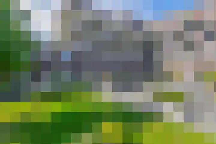 Paterswoldseweg 148 Groningen thumbnail 25