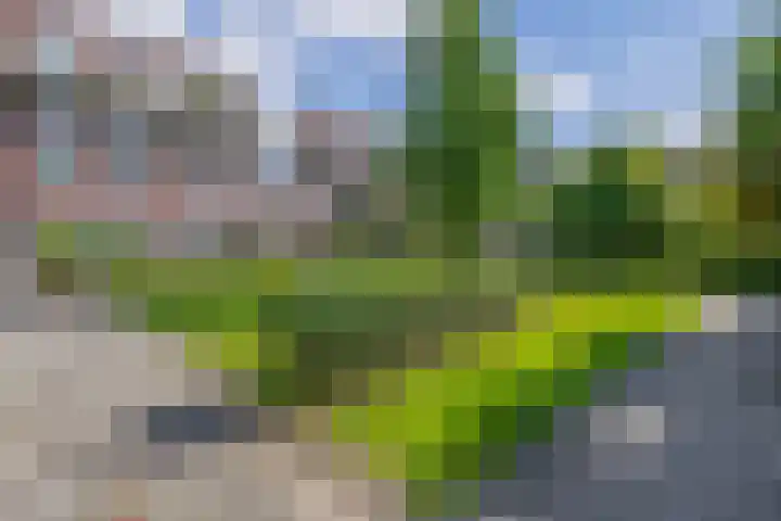 Paterswoldseweg 148 Groningen thumbnail 26