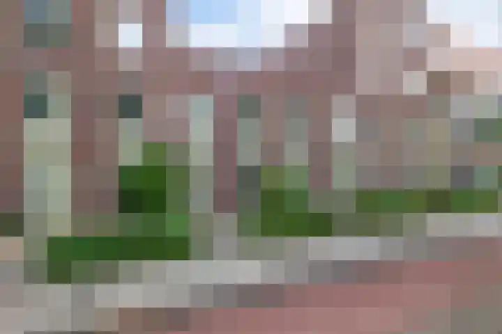 Paterswoldseweg 148 Groningen thumbnail 5