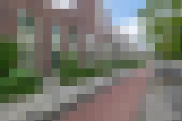 Paterswoldseweg 148 Groningen thumbnail 56