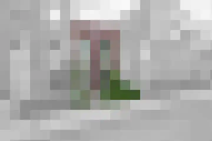 Paterswoldseweg 148 Groningen thumbnail 6