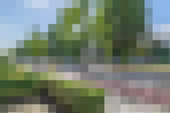 Paterswoldseweg 148 Groningen thumbnail 8