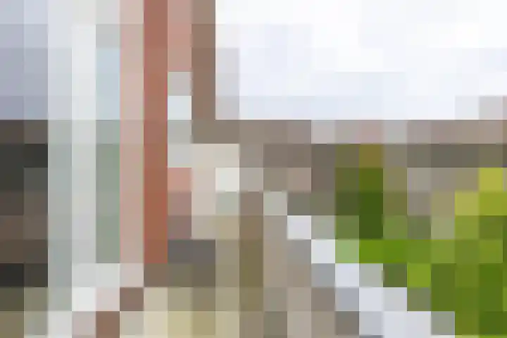 Paterswoldseweg 154 a Groningen thumbnail 15