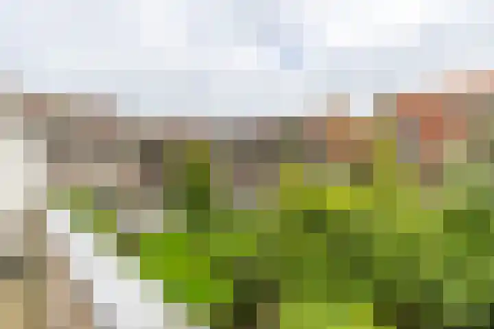 Paterswoldseweg 154 a Groningen thumbnail 16