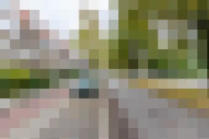 Paterswoldseweg 154 a Groningen thumbnail 48