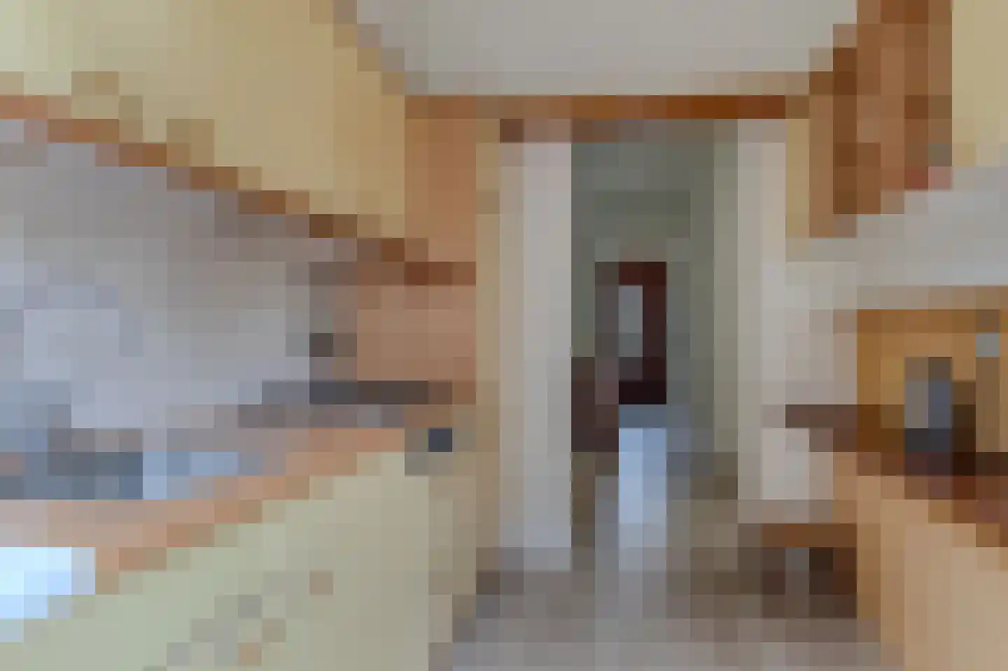 Paterswoldseweg 156 Groningen thumbnail 21