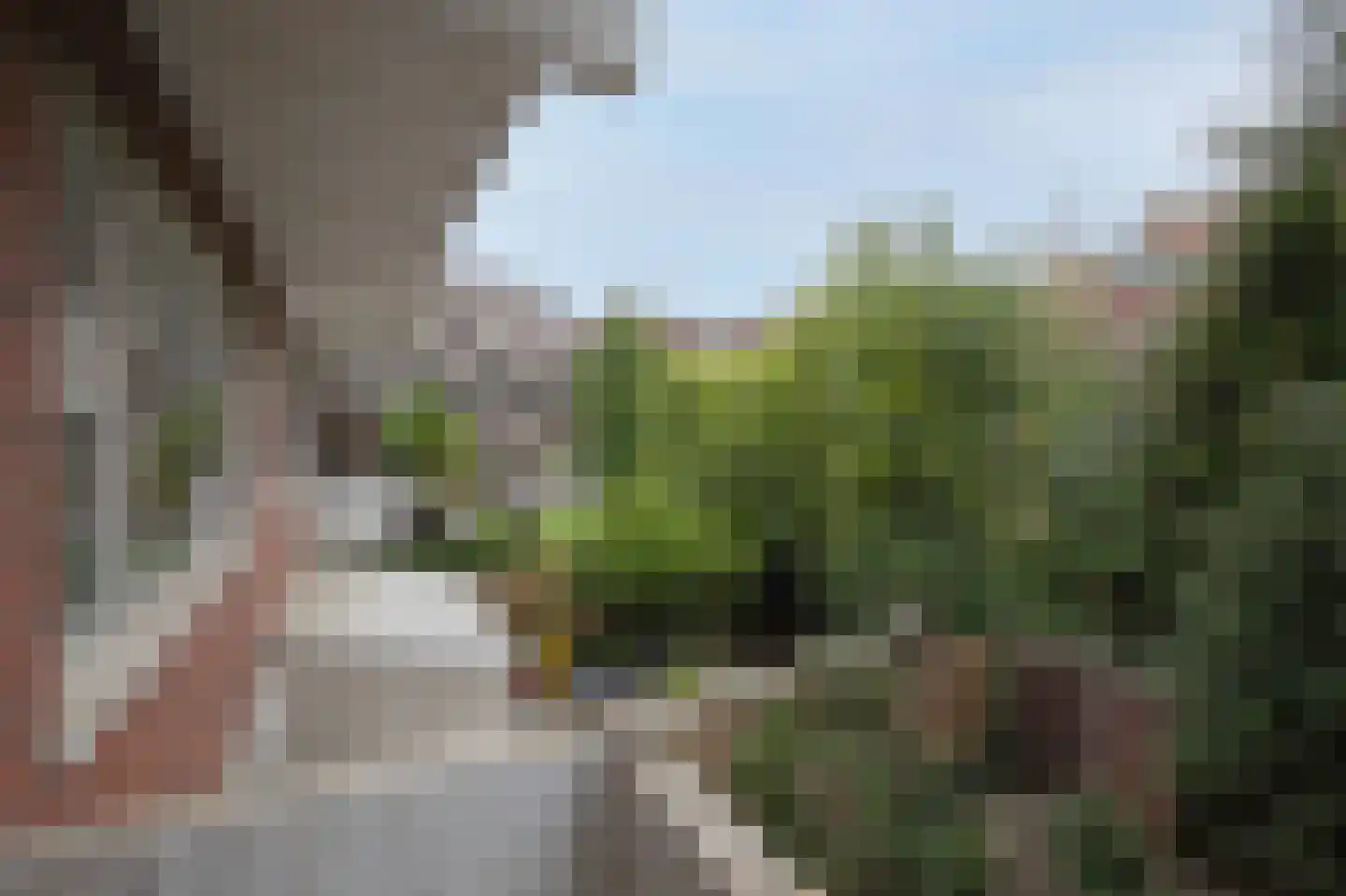 Paterswoldseweg 156 Groningen thumbnail 25