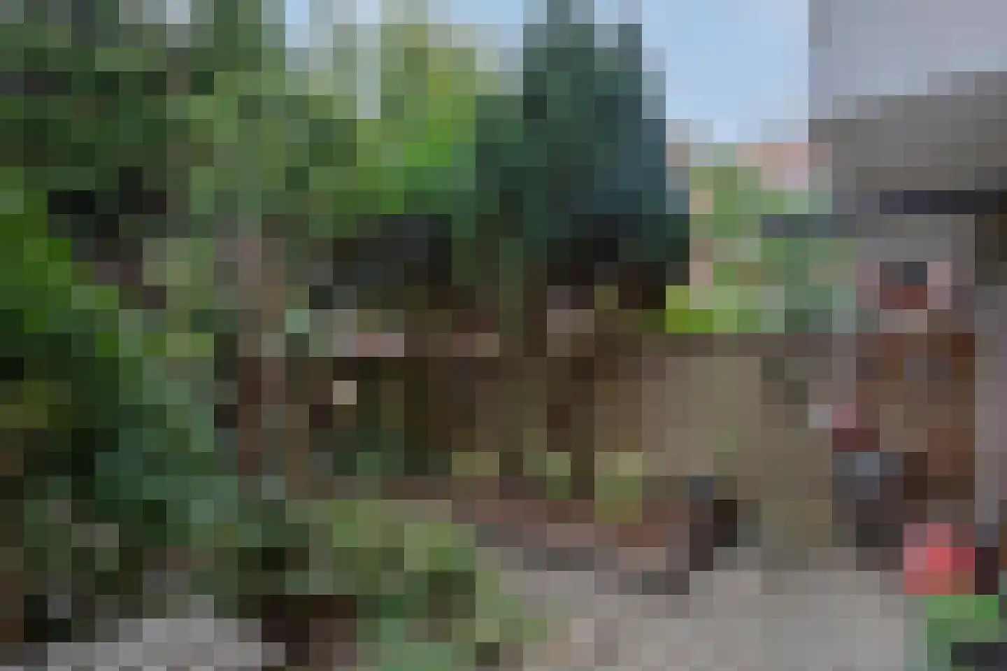Paterswoldseweg 156 Groningen thumbnail 35