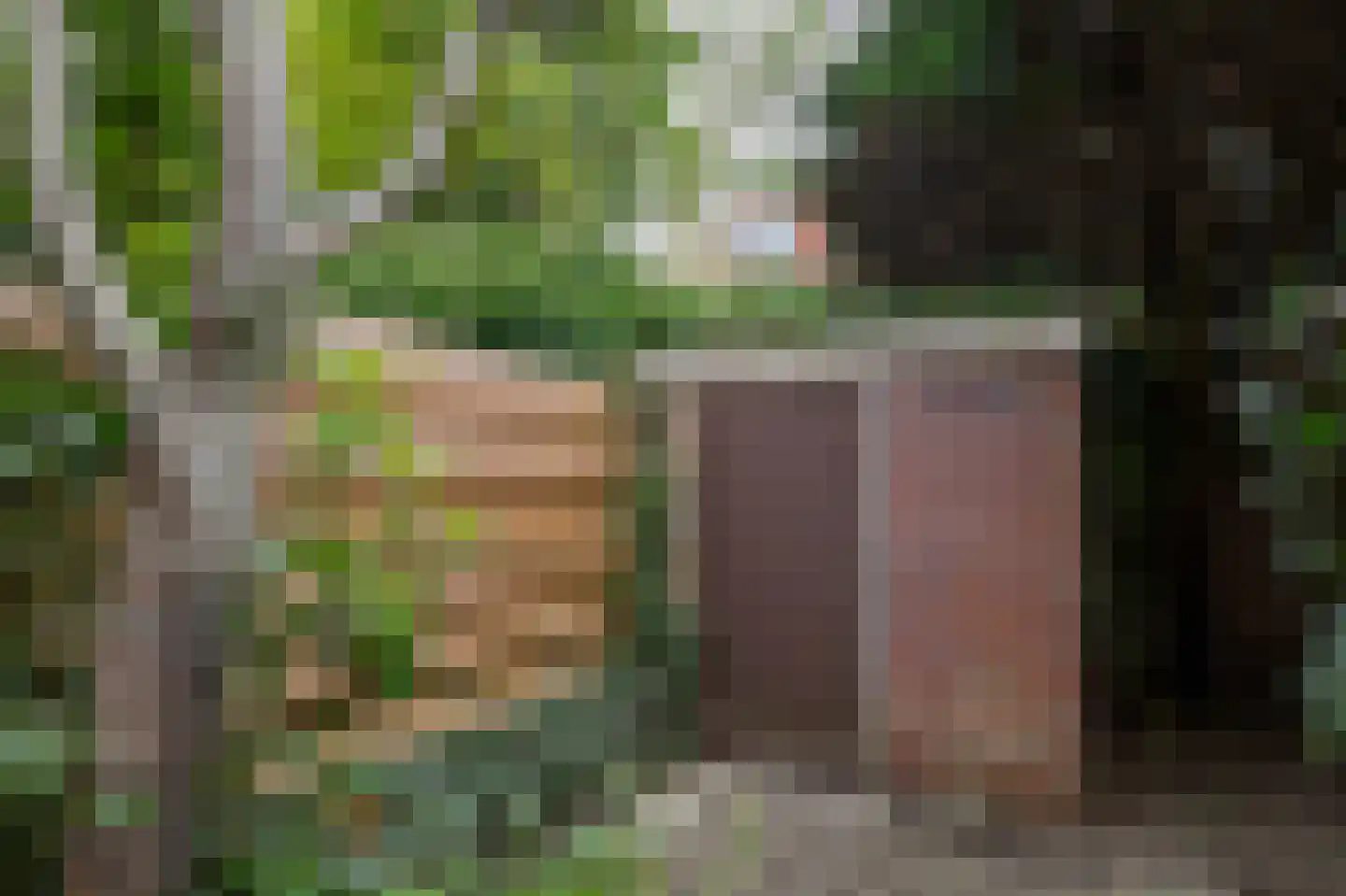 Paterswoldseweg 156 Groningen thumbnail 37