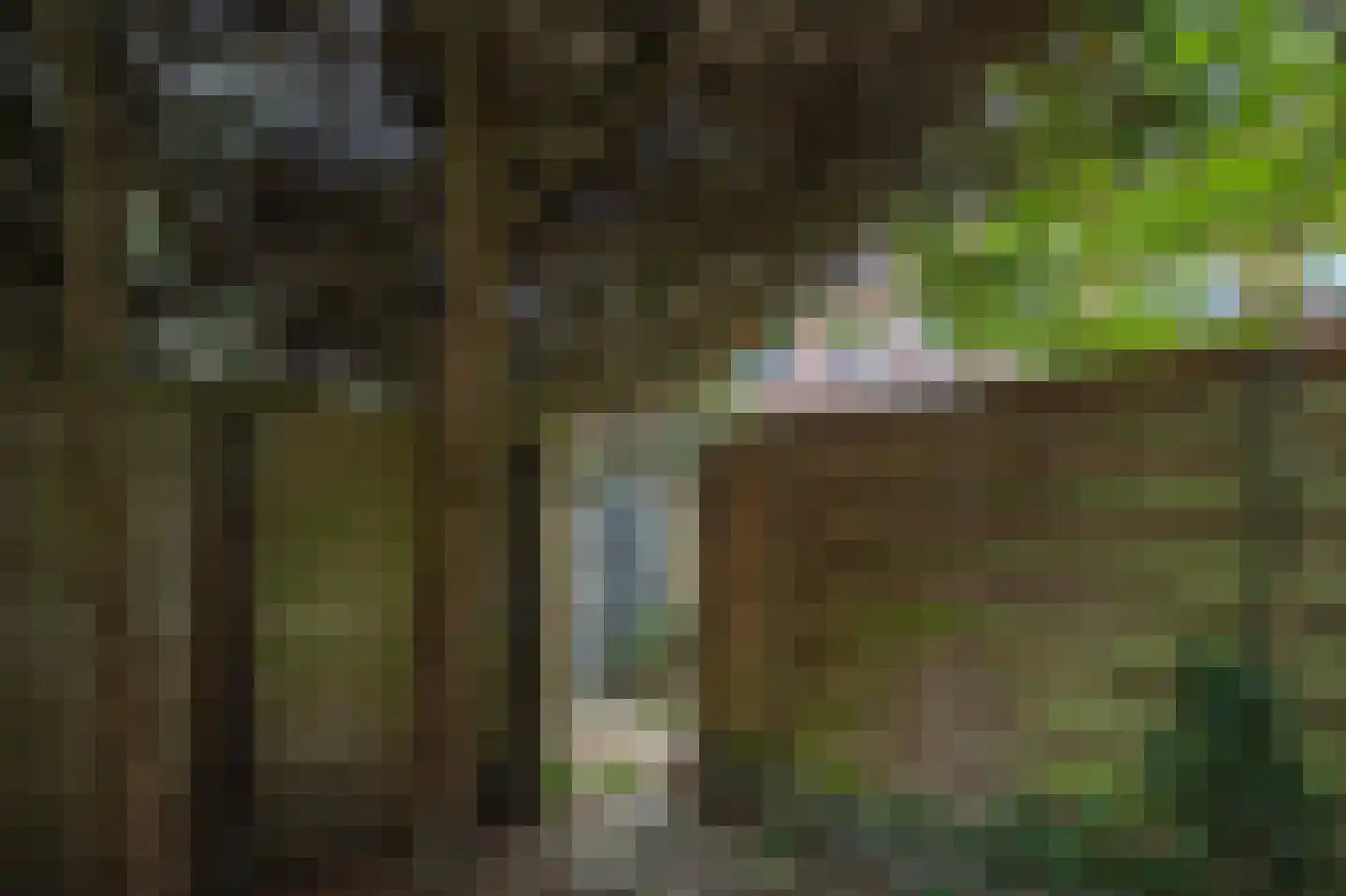 Paterswoldseweg 156 Groningen thumbnail 40