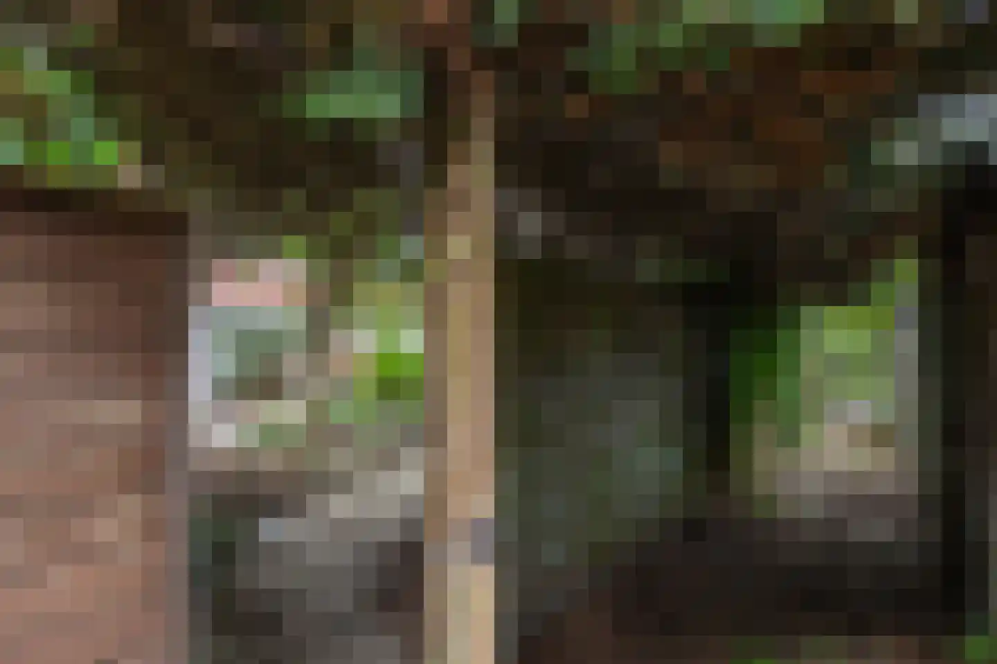Paterswoldseweg 156 Groningen thumbnail 41