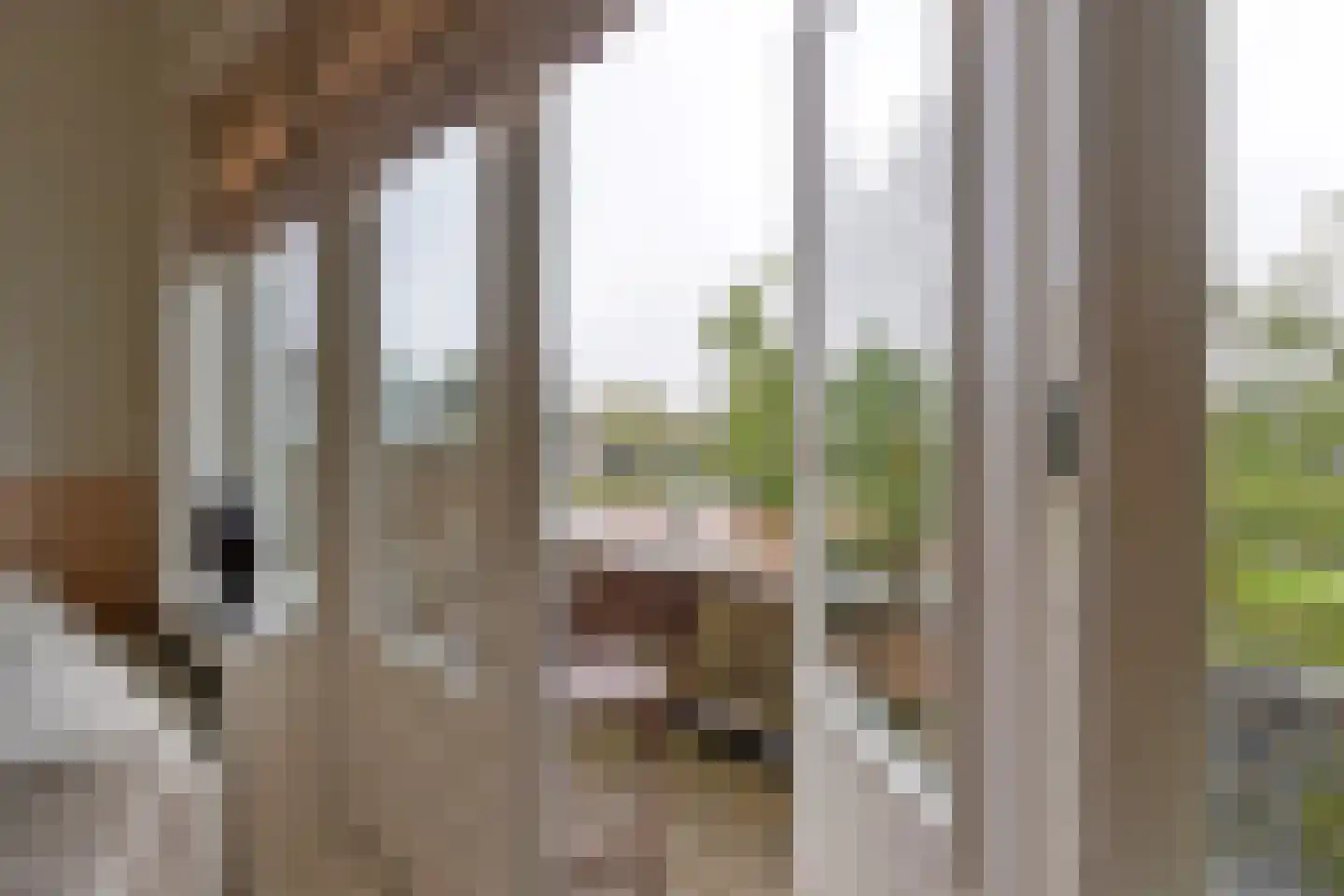 Paterswoldseweg 164 a Groningen thumbnail 31