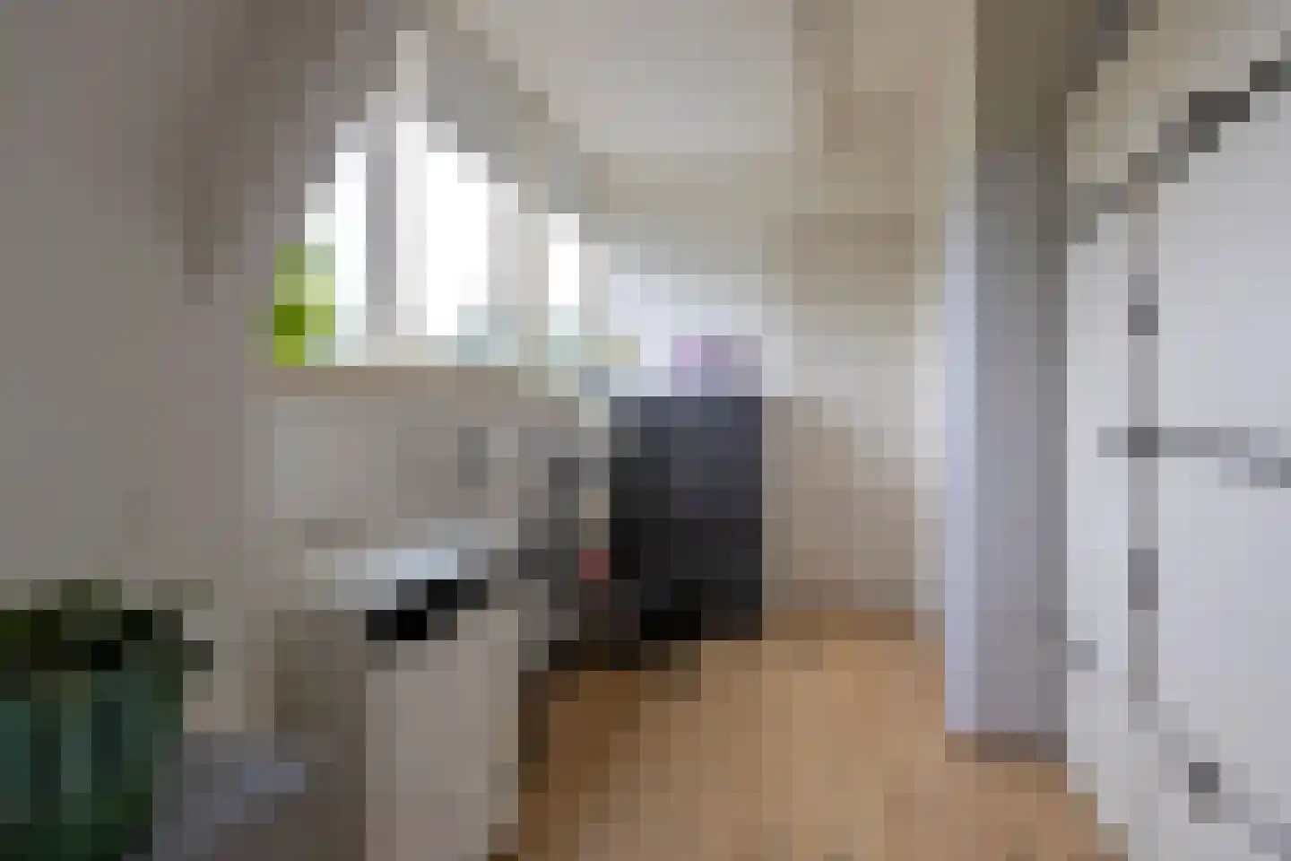 Paterswoldseweg 164 a Groningen thumbnail 8