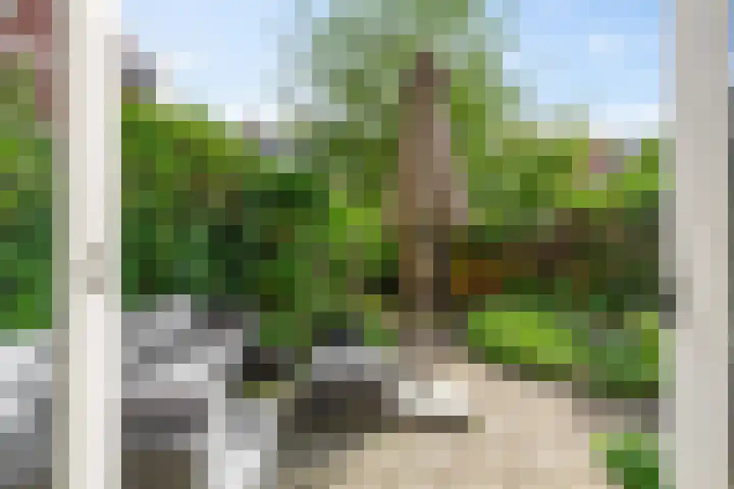 Paterswoldseweg 186 Groningen thumbnail 23