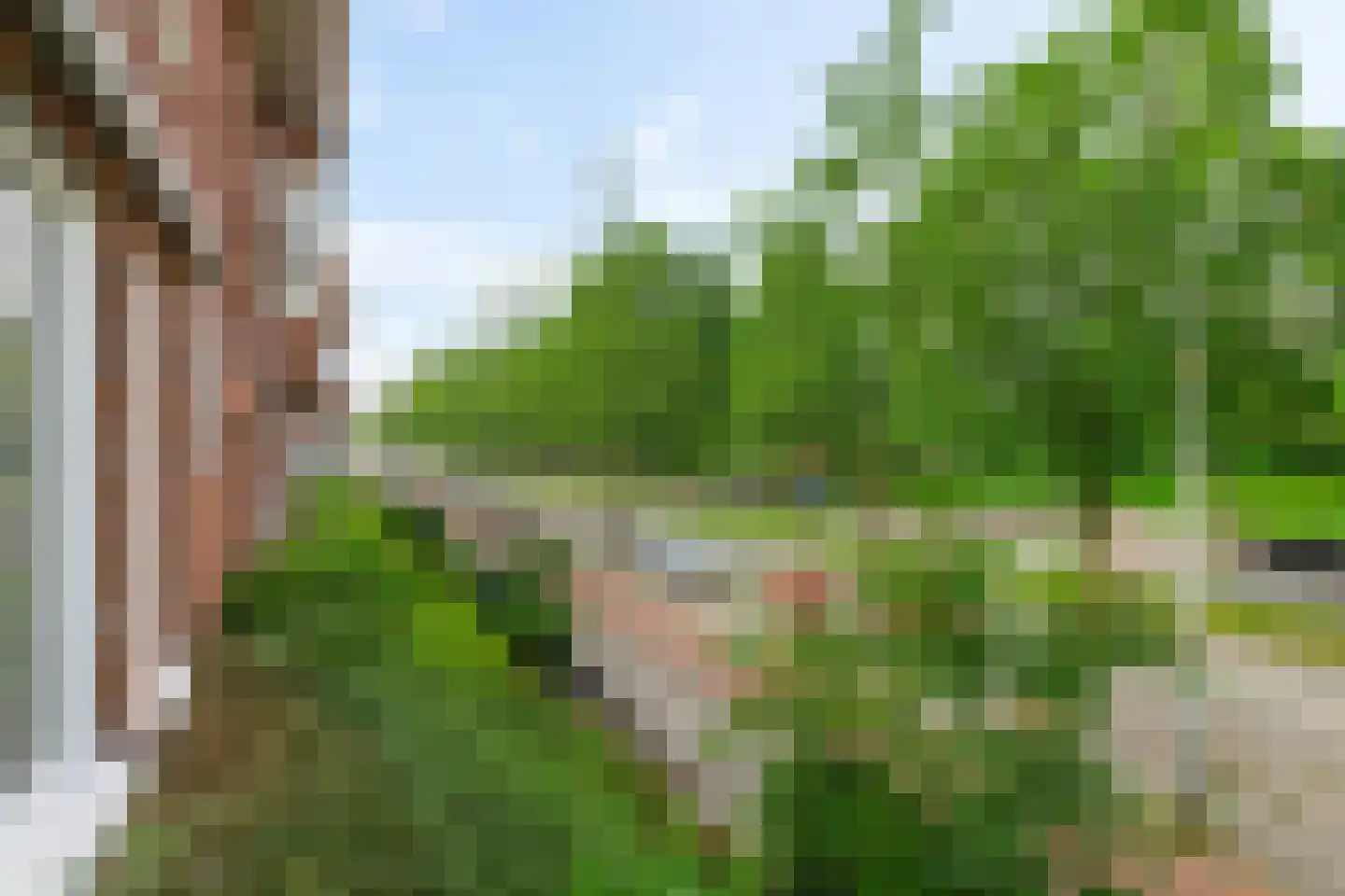 Paterswoldseweg 186 Groningen thumbnail 46