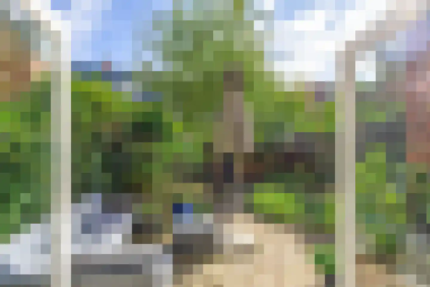 Paterswoldseweg 186 Groningen thumbnail 52