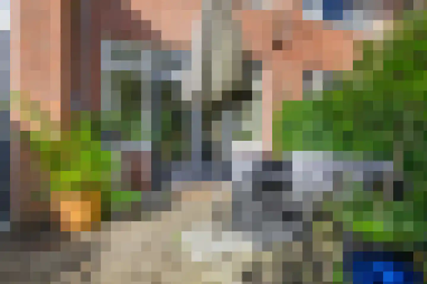 Paterswoldseweg 186 Groningen thumbnail 55