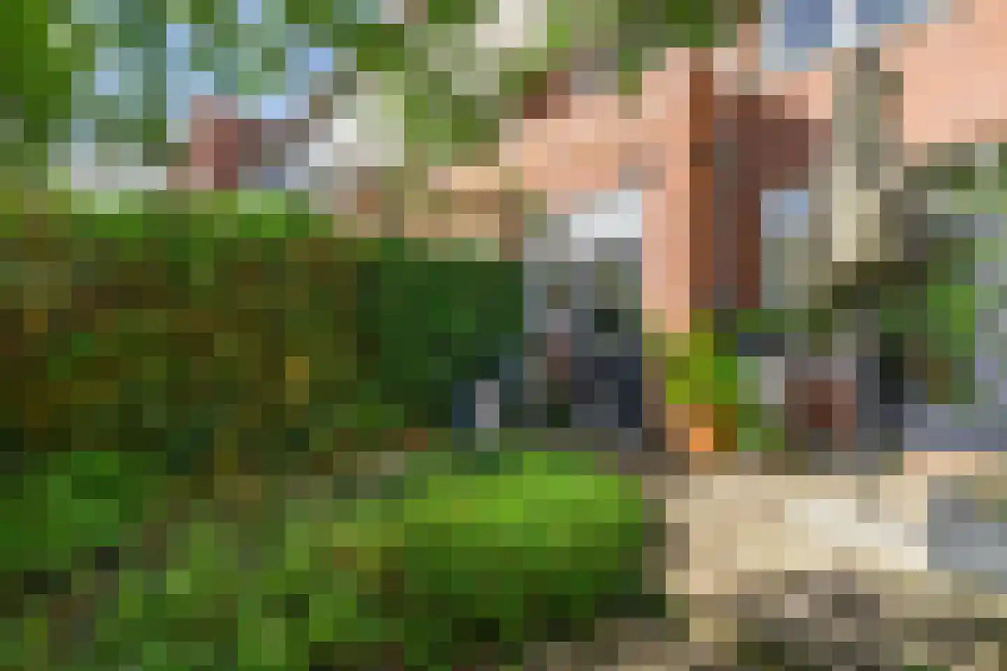 Paterswoldseweg 186 Groningen thumbnail 56
