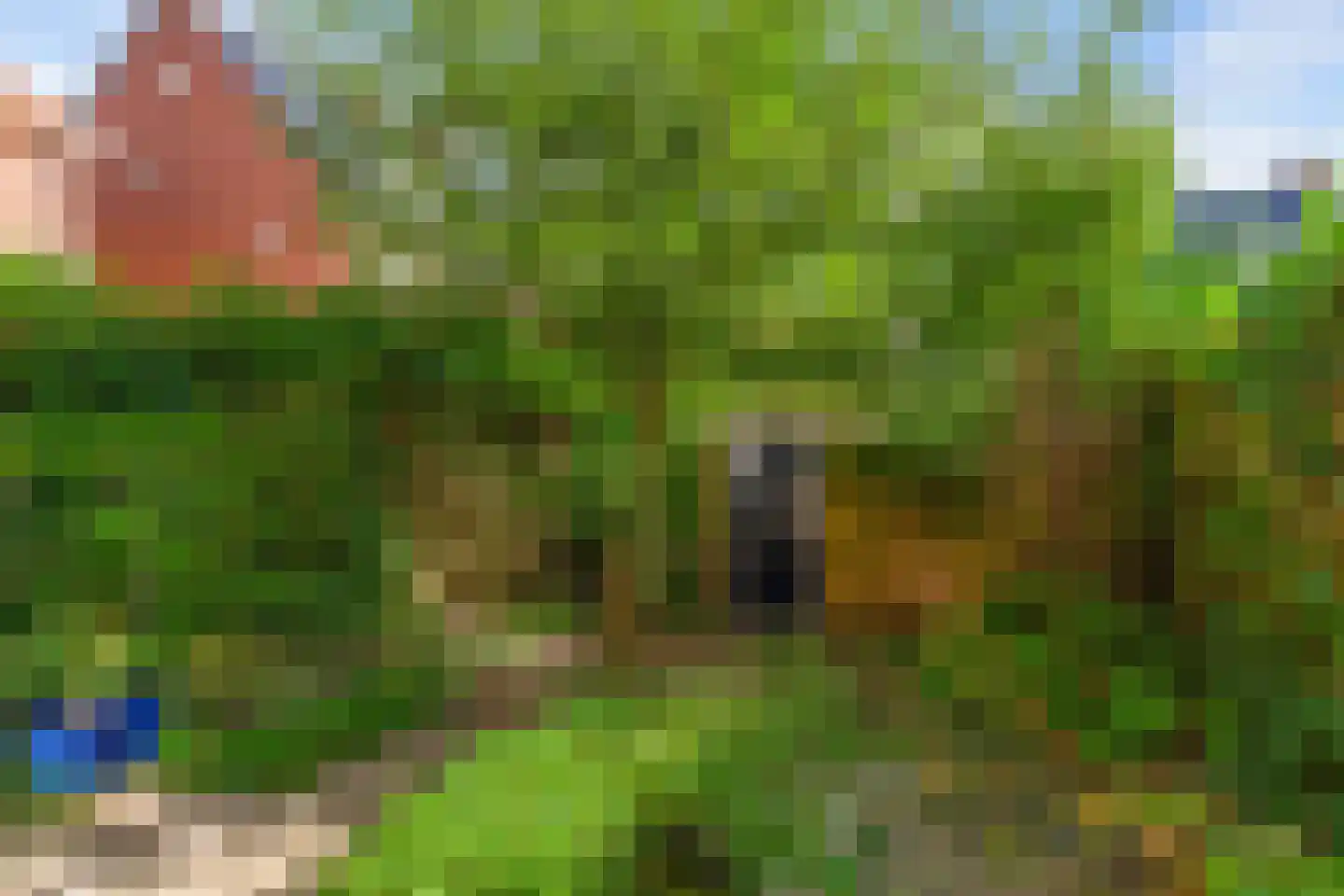 Paterswoldseweg 186 Groningen thumbnail 57