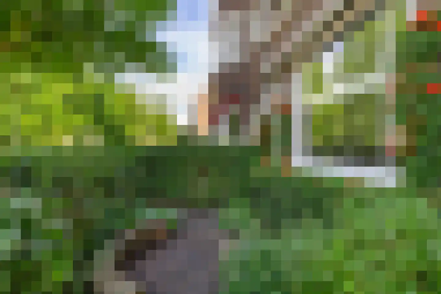 Paterswoldseweg 186 Groningen thumbnail 59