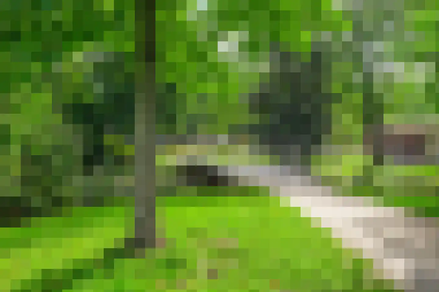 Paterswoldseweg 186 Groningen thumbnail 61
