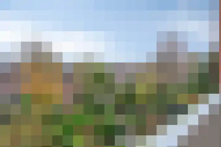 Paterswoldseweg 236 Groningen thumbnail 32