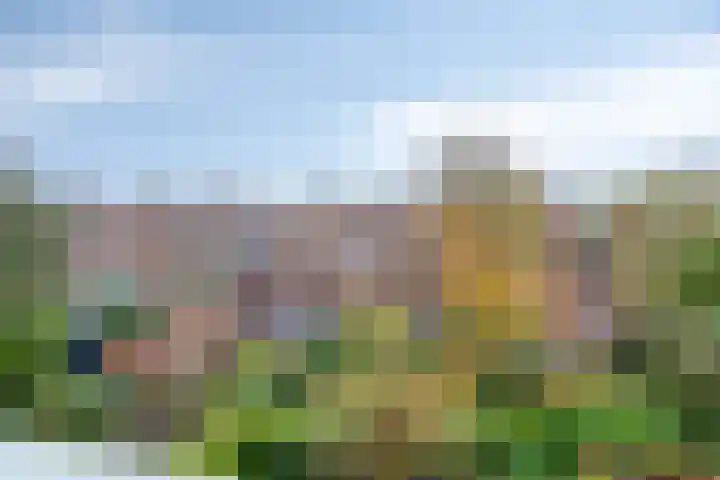 Paterswoldseweg 236 Groningen thumbnail 34