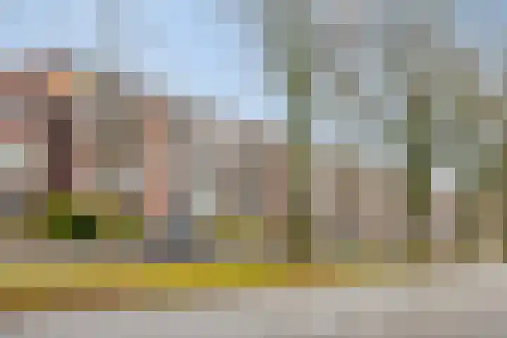 Paterswoldseweg 236 Groningen thumbnail 45