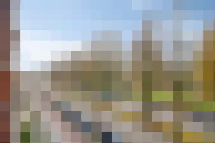 Paterswoldseweg 236 Groningen thumbnail 5