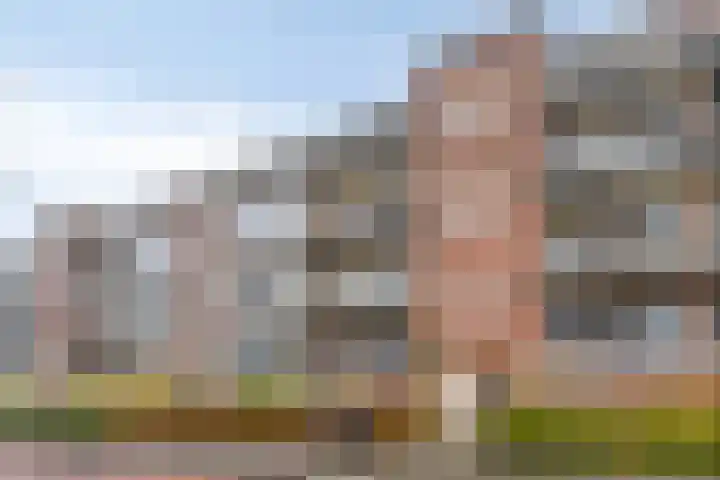 Paterswoldseweg 236 Groningen thumbnail 6