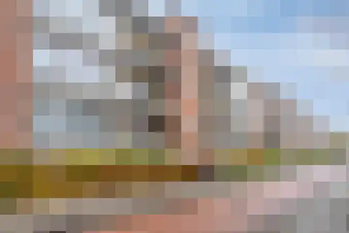 Paterswoldseweg 236 Groningen thumbnail 8