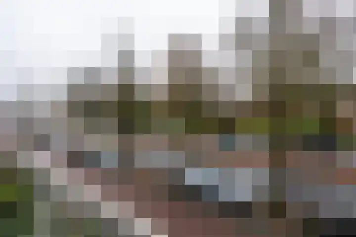Paterswoldseweg 262 Groningen thumbnail 15