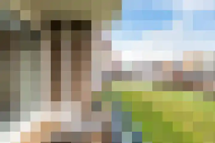 Paterswoldseweg 269 3 Groningen thumbnail 23