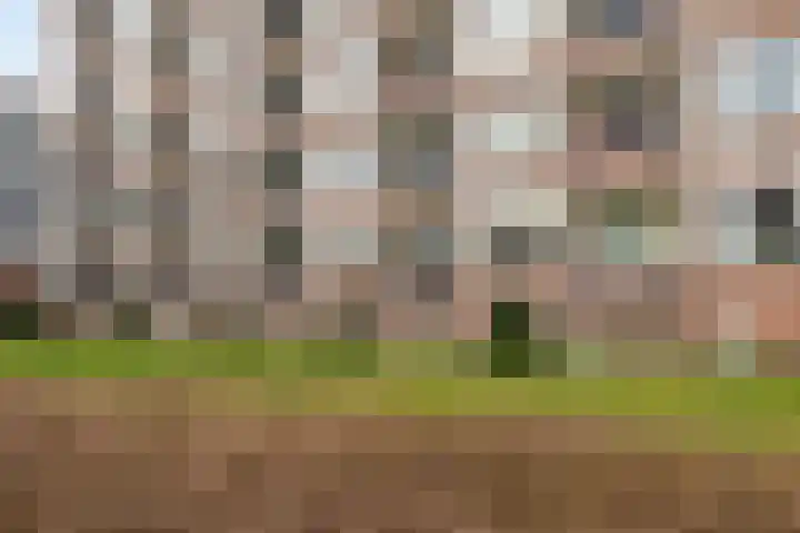 Paterswoldseweg 269 3 Groningen thumbnail 26