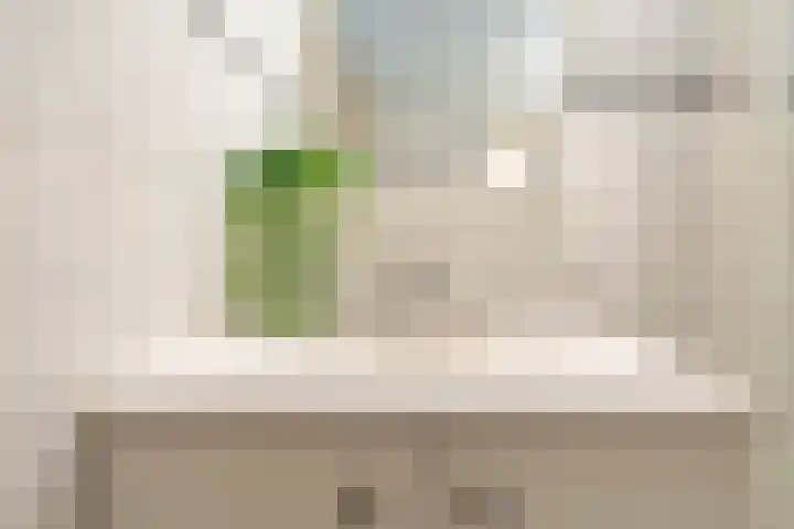 Paterswoldseweg 281 Groningen thumbnail 25