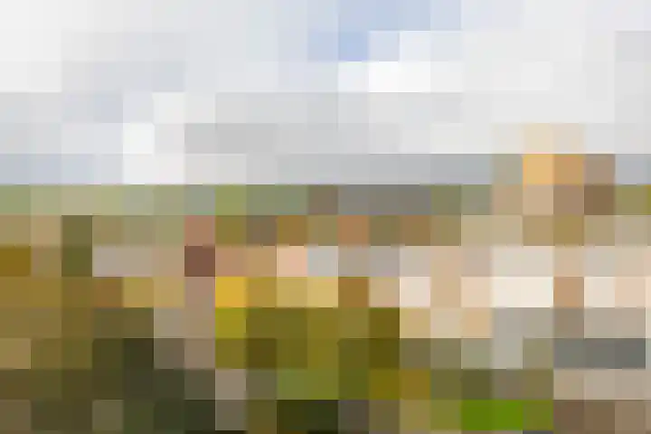 Paterswoldseweg 281 Groningen thumbnail 29