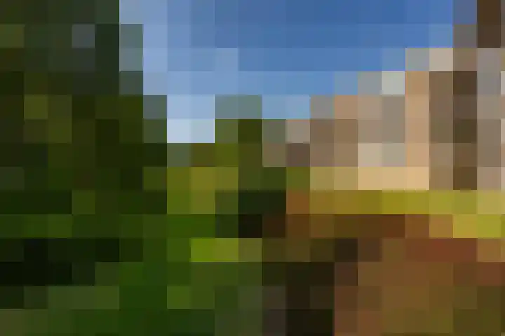 Paterswoldseweg 287 4 Groningen thumbnail 32