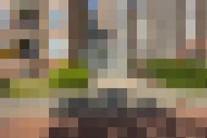 Paterswoldseweg 287 4 Groningen thumbnail 8