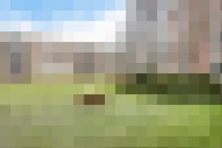 Paterswoldseweg 299 Groningen thumbnail 36