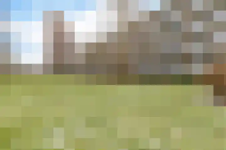 Paterswoldseweg 299 Groningen thumbnail 37