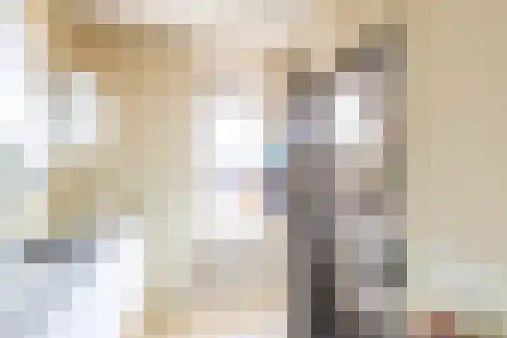 Paterswoldseweg 318 Groningen thumbnail 17