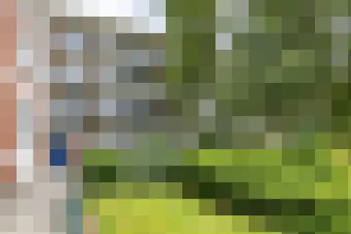 Paterswoldseweg 321 Groningen thumbnail 21