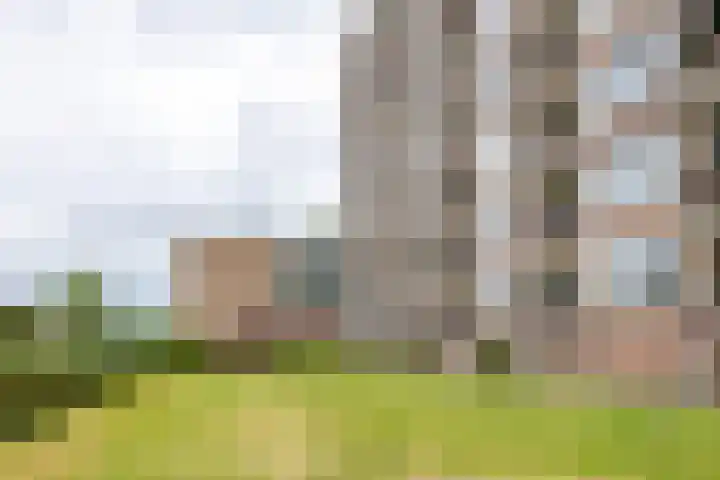 Paterswoldseweg 321 Groningen thumbnail 4