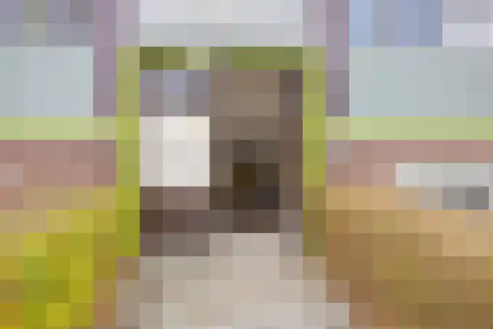 Paterswoldseweg 351 Groningen thumbnail 11