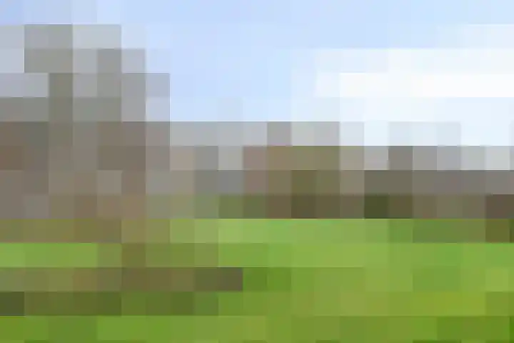 Paterswoldseweg 351 Groningen thumbnail 26